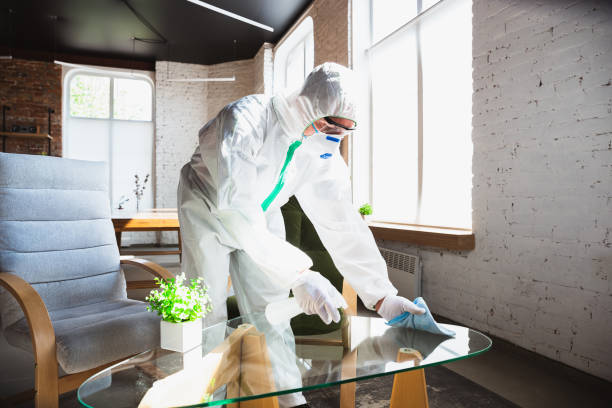 Why You Should Choose Our Mold Remediation Services in San Fernando, CA