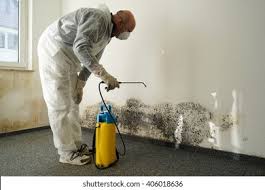  San Fernando, CA Mold Removal Pros